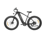 DYU King 750 Mountain Electric Bike - US - Image 2