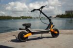 Fiido Beast Electric Scooter - Image 2