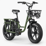 FIIDO T1 PRO Electric Cargo Bike upgraded v2 2024 edition-UK
