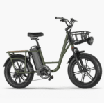 FIIDO T1 PRO Electric Cargo Bike upgraded v2 2024 edition-UK - Image 21