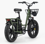 FIIDO T1 PRO Electric Cargo Bike upgraded v2 2024 edition-UK - Image 7