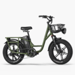 FIIDO T1 PRO Electric Cargo Bike upgraded v2 2024 edition-UK - Image 9