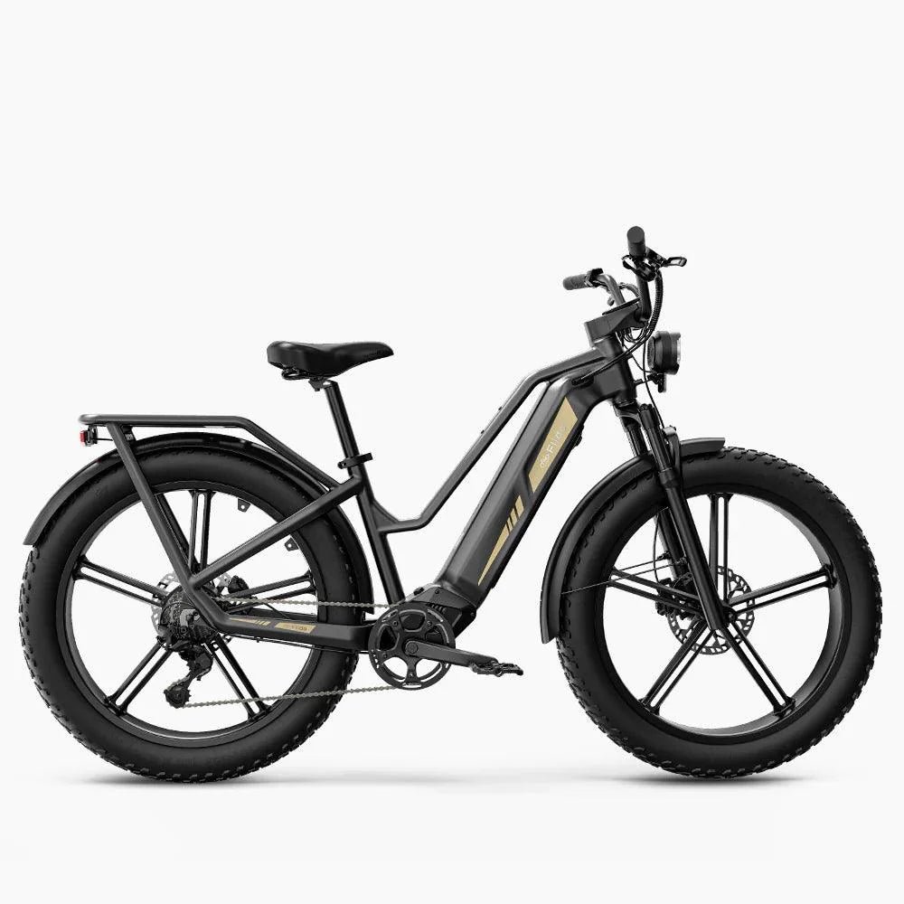 fiido-titan-robust-cargo-electric-bike-pogo-cycles-1.jpg Fiido Titan Robust Cargo Electric Bike - Image 1