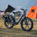 Fiido Titan Robust Cargo Electric Bike - Image 3