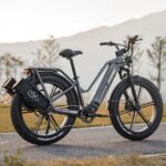 Fiido Titan Robust Cargo Electric Bike - Image 7